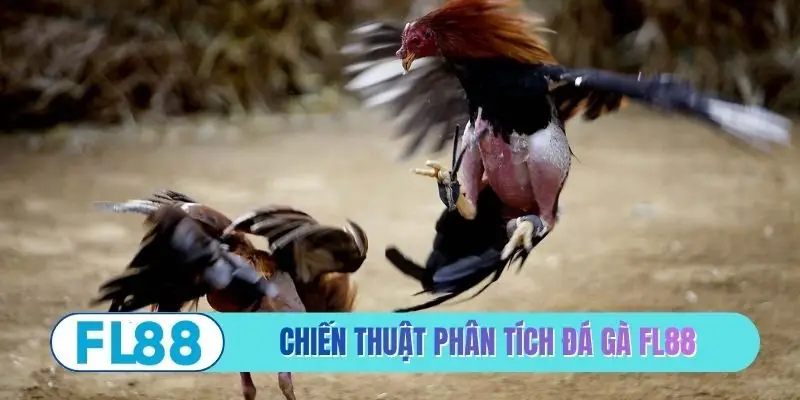 Đá Gà FL88 - Đấu Trường Hội Tụ Những Chiến Kê Hiểm - BETMIRA88.BIZ
