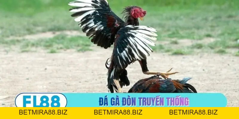 FL88 | Link Vào Trang Chủ betmira88.biz Không Chặn Mới Nhất 2026 - BETMIRA88.BIZ