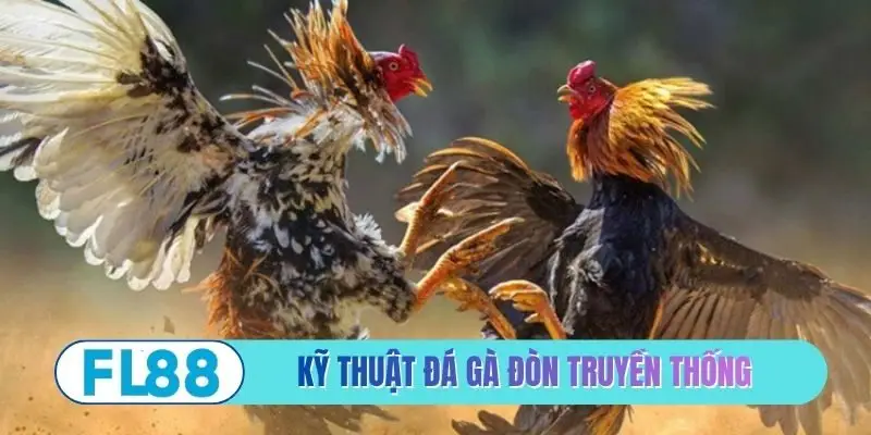 Đá Gà Đòn Truyền Thống - Những Cú Đá Sấm Sét Đỉnh Cao - BETMIRA88.BIZ