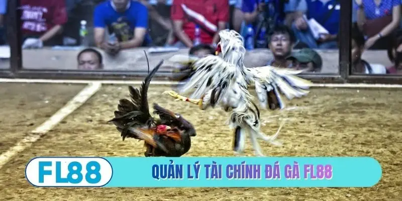 Đá Gà FL88 - Đấu Trường Hội Tụ Những Chiến Kê Hiểm - BETMIRA88.BIZ