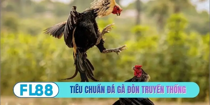 Đá Gà Đòn Truyền Thống - Những Cú Đá Sấm Sét Đỉnh Cao - BETMIRA88.BIZ